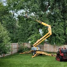 Best Fruit Tree Pruning  in Spring House, PA